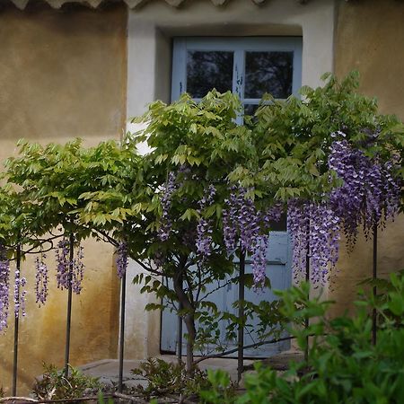 Chambre D'Hotes Au Coquin De Sort Vaison-la-Romaine Exteriör bild