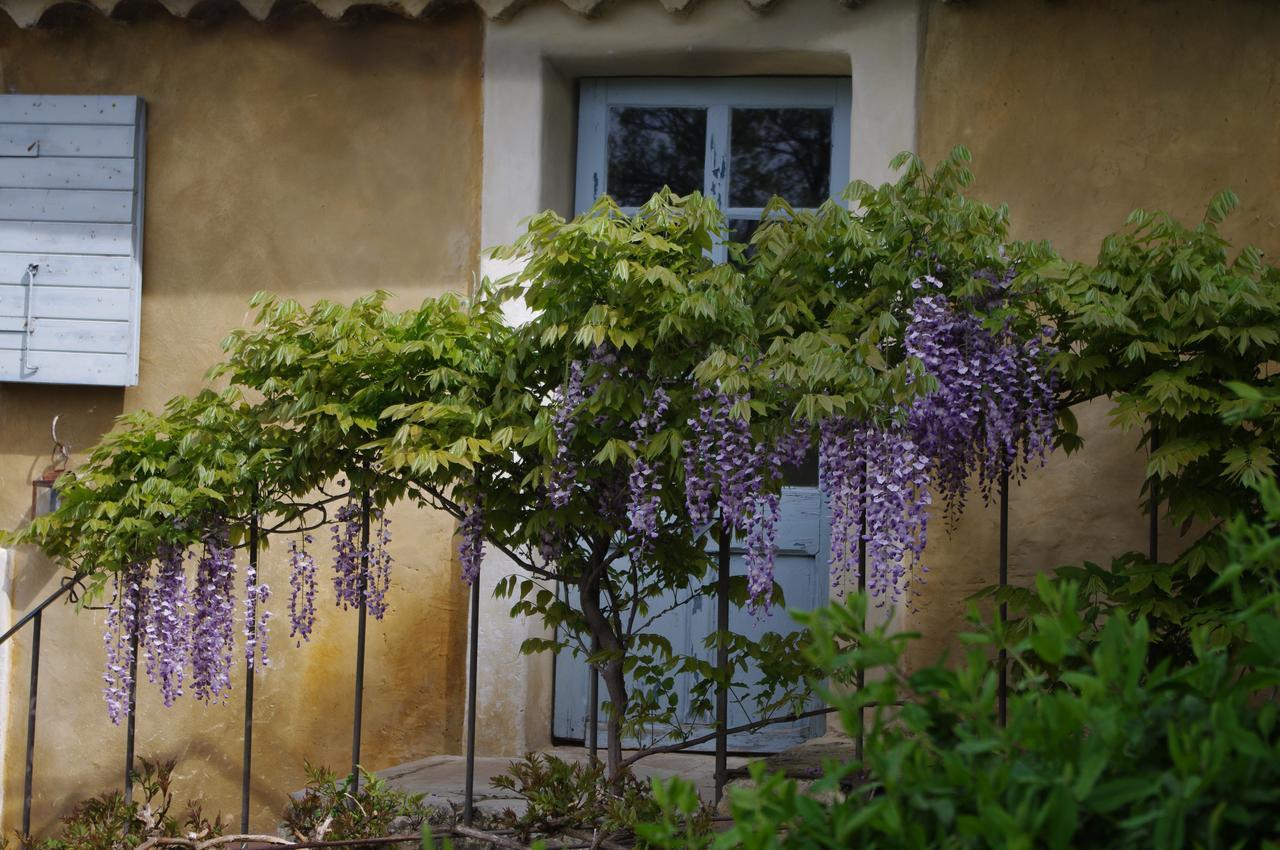 Chambre D'Hotes Au Coquin De Sort Vaison-la-Romaine Exteriör bild